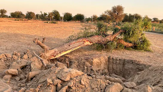 सोमलसर गांव में खेजड़ी कटाई रोकने पहुंचे सरपंच प्रतिनिधि व ग्रामीणों पर हमला, पांच आरोपियों के खिलाफ मुकदमा दर्ज