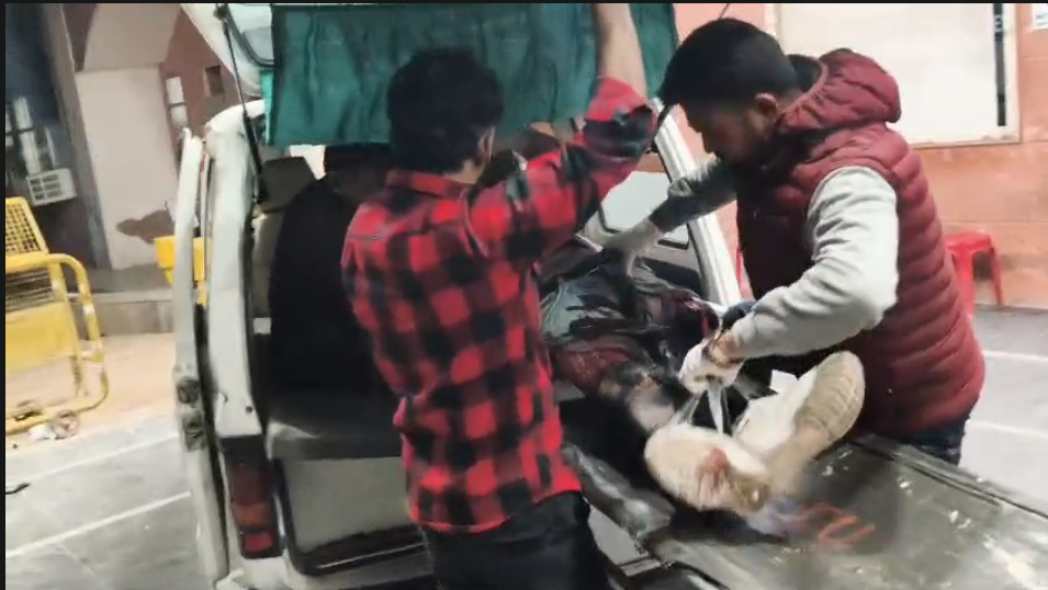 Screenshot 2026 02 07 203750 1