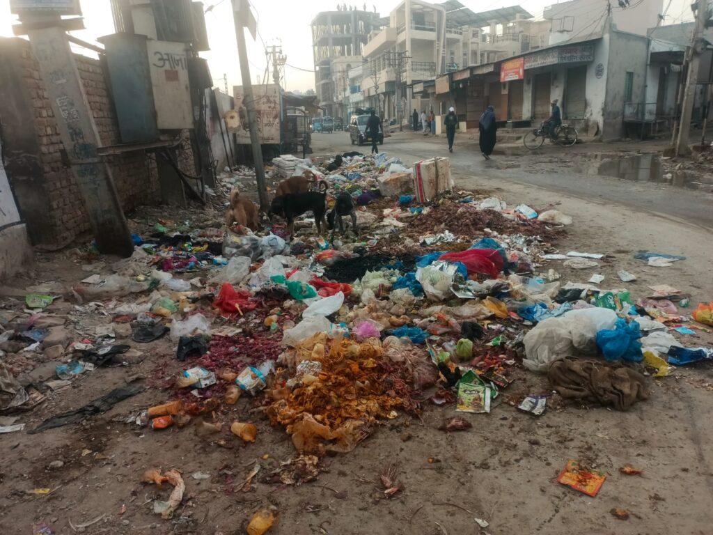 बीकानेर: नेता जी सुभाष मार्ग से आगे चौकुंटी कर्बला क्षेत्र में गंदगी और कचरे का ढेर, मोहल्लेवासी परेशान—जनता का बुरा हाल, आवागमन भी बाधित 1 WhatsApp Image 2026 02 12 at 8.00.53 AM 1
