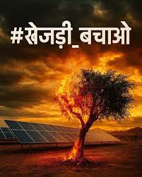 सोलर प्रोजेक्ट्स में खेजड़ी कटाई का विरोध, बीकानेर आज पूर्ण बंद – जानें रूट और पार्किंग प्लान